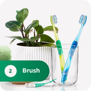 2 GUM PRO Technique Toothbrushes into the glass