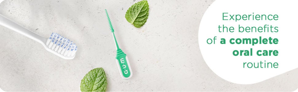 GUM SOFT-PICKS MINTY with mint leafs and a toothbrush 