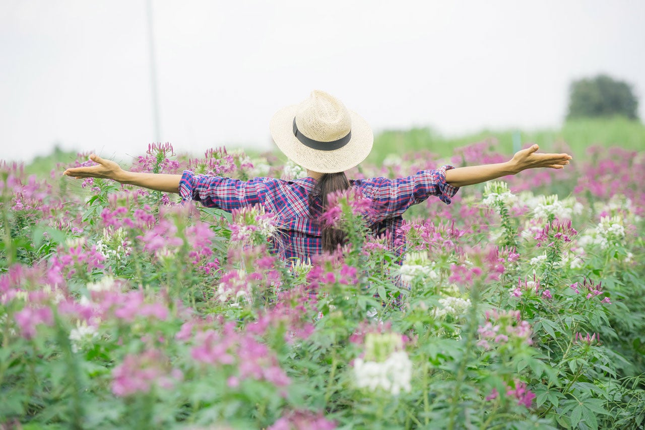 woman-in-nature-green-living.jpg