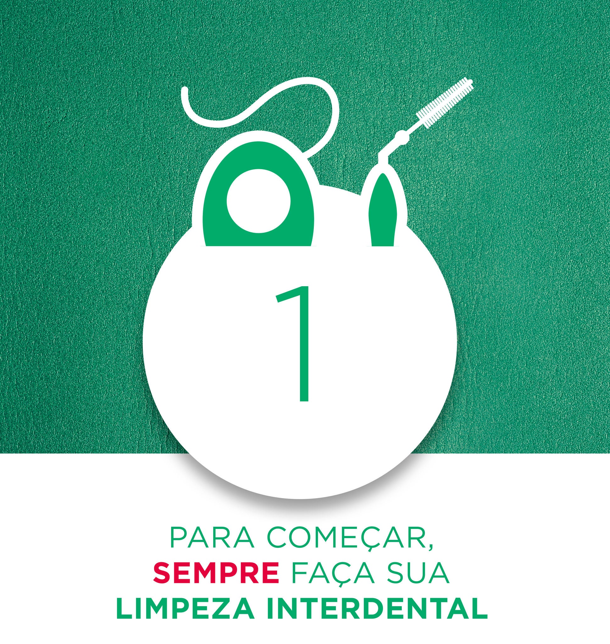 PARA COMEÇAR, SEMPRE FAÇA SUA LIMPEZA INTERDENTAL