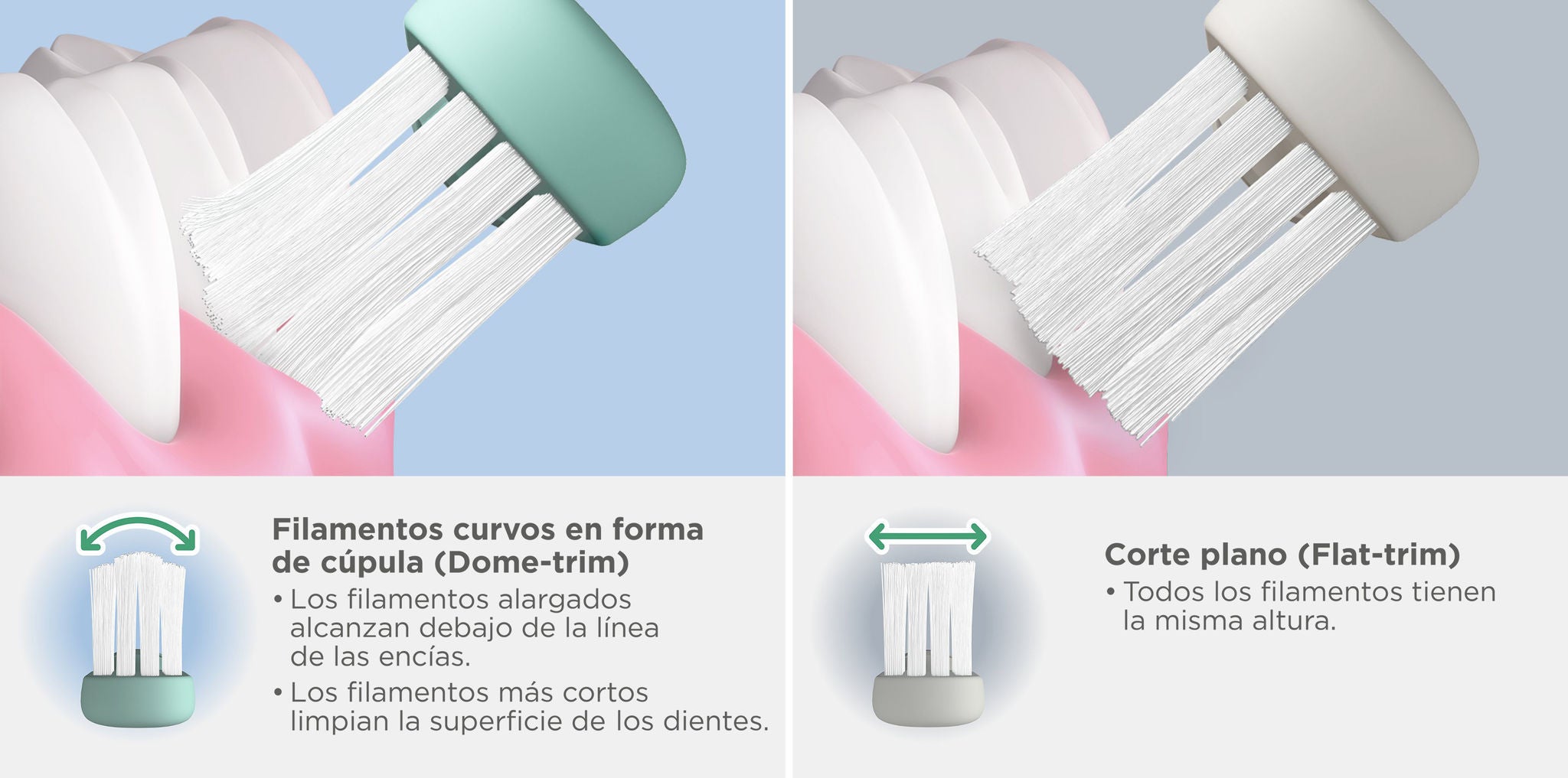 Comparativa de los filamentos del cepillo CLASSIC Dome Trim y de filamentos de corte plano en el acceso a las encías