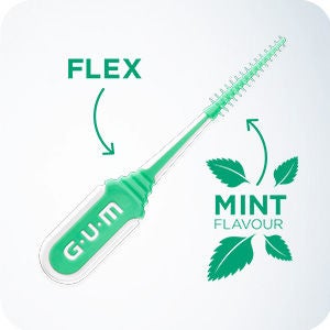 GUM SOFT-PICKS MINTY with mint leaf