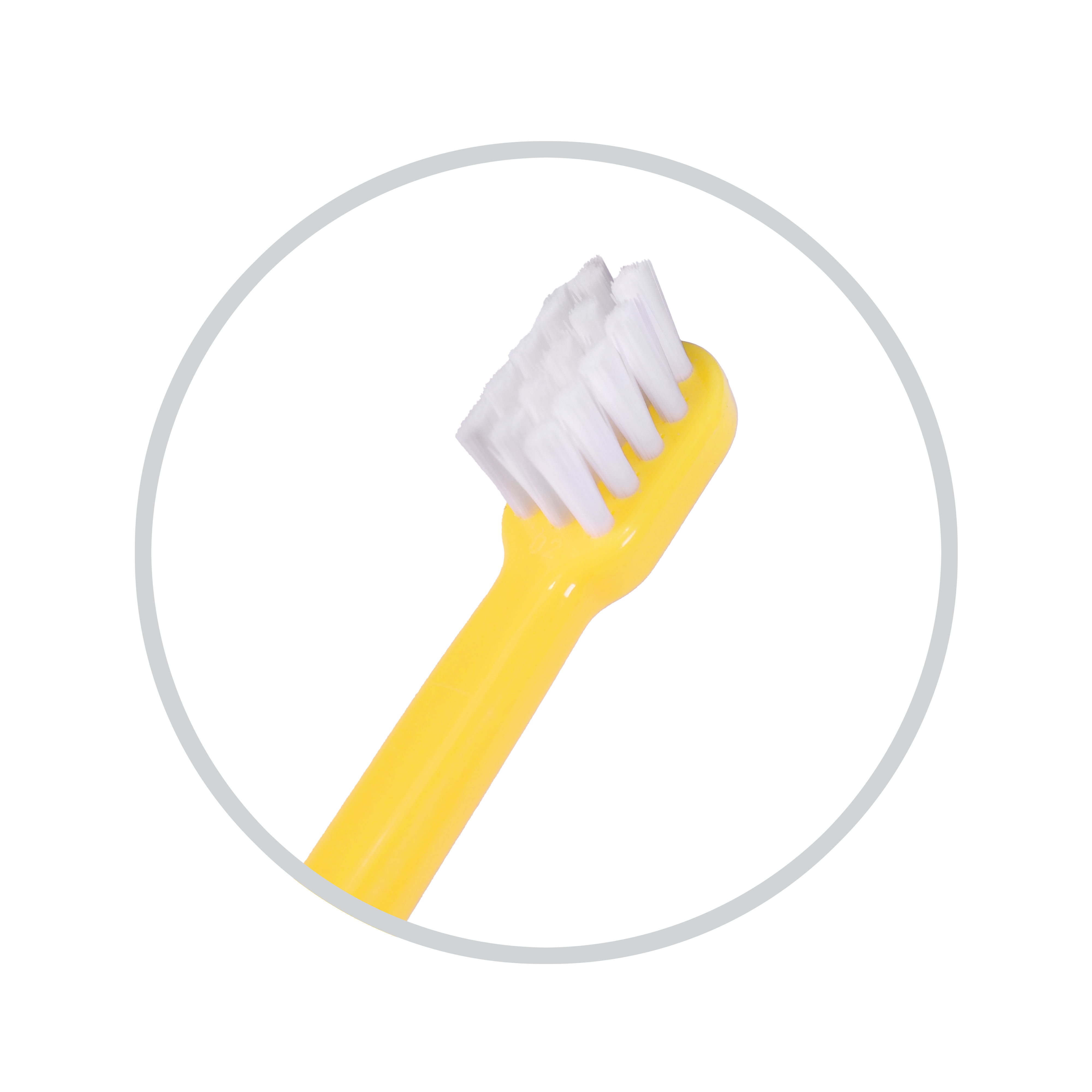 4054PPLA-BRISTLES.png