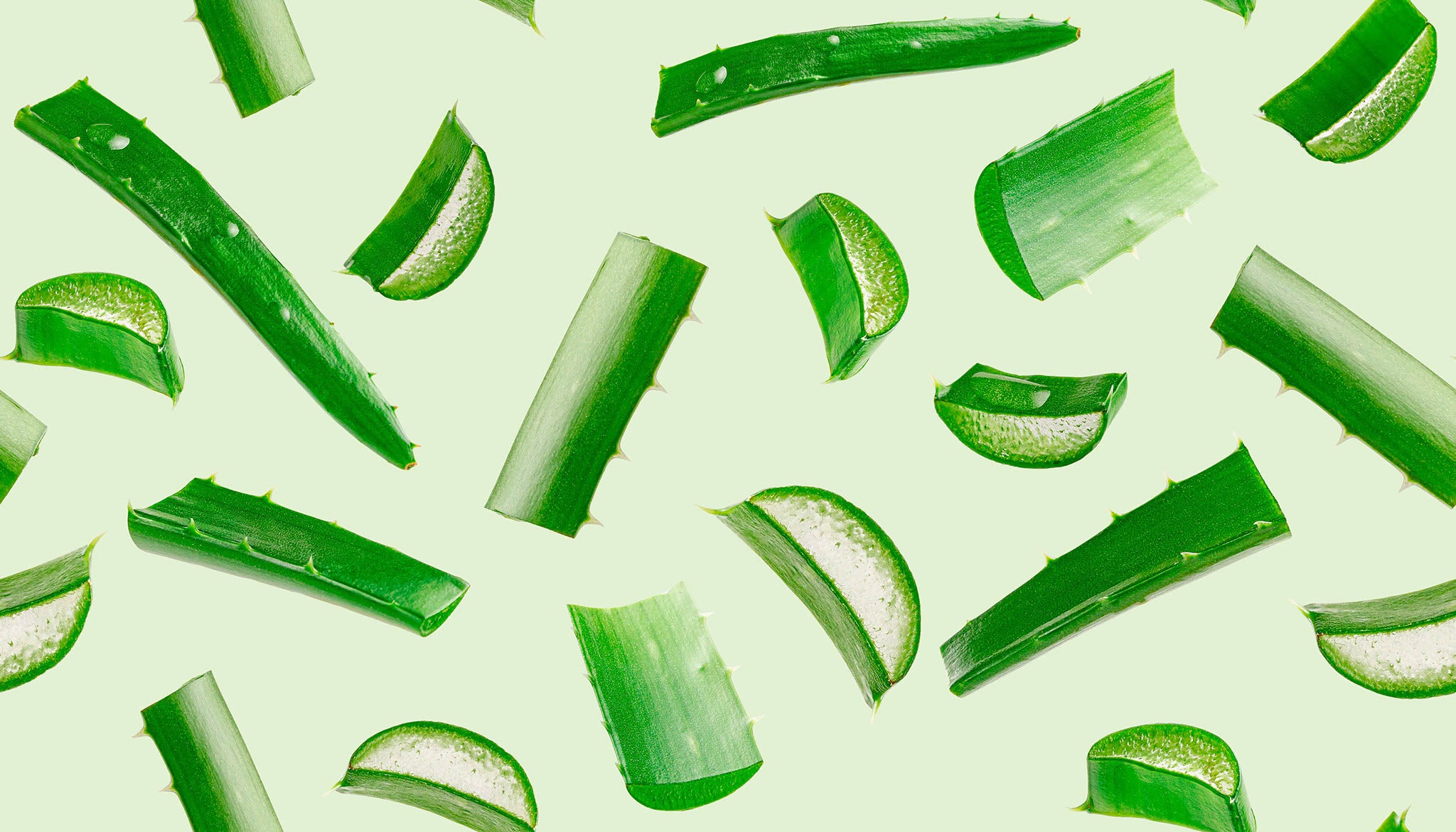 Beneficios del Aloe Vera, utilízalo en tu higiene bucal diaria